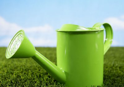 Une nouvelle réglementation pour la vente de  pesticides aux particuliers