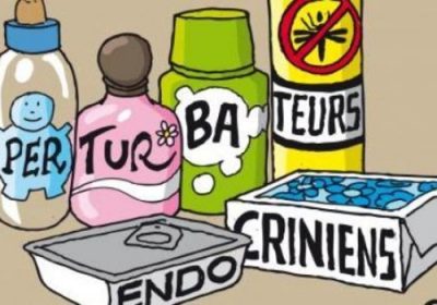 Santé : comment se prémunir des perturbateurs endocriniens