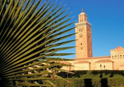 FRAM, c&rsquo;est le drame