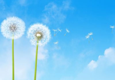 Protégez votre air intérieur, protégez votre santé