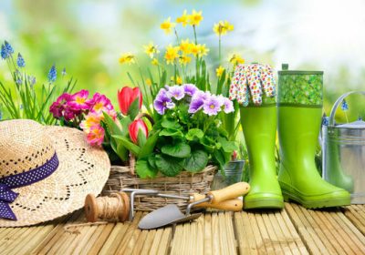 Alimentation : vente de pesticides en hausse