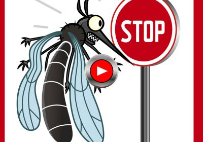 Se protéger des moustiques