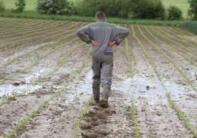 Alimentation : conséquences de la guerre sur l&rsquo;agriculture