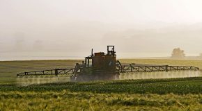 Environnement : l’interdiction de pesticides dangereux attendra