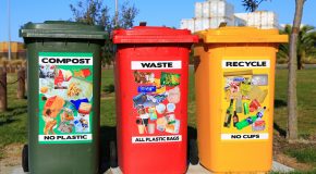 Environnement : redevance incitative pour les déchets ménagers