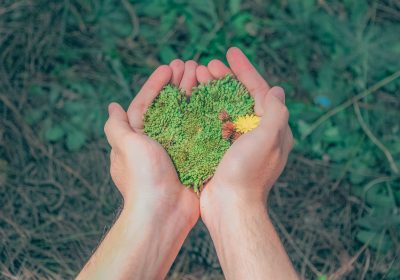 Environnement : réduire les émissions de carbone