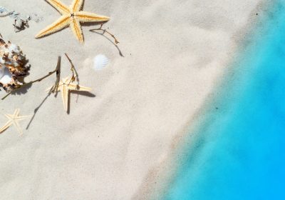 Fermeture estivale 2024 de l&rsquo;association