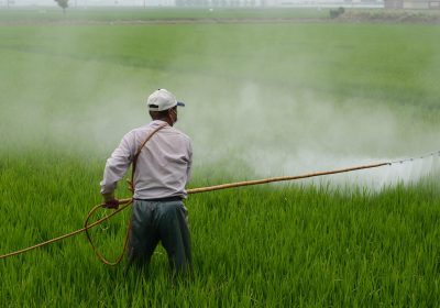 Environnement – Des cartes départementales des pesticides en agriculture