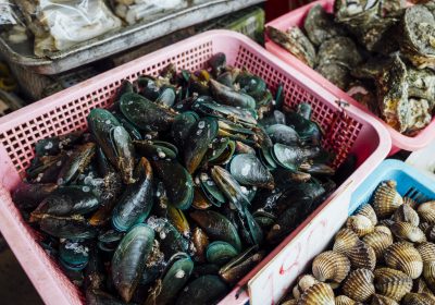 Alimentation – Du mercure dans les produits de la mer