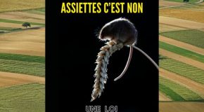 Duplomb dans vos assiettes c’est non : une loi destructrice et rétrograde