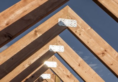 On a gagné en justice : EXPERTISE CH : un traitement de charpente ruineux et inutile