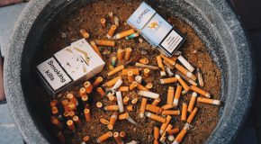 Environnement – Trop de mégots jetés